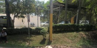 Depositan Vacas Envenenadas frente a Barrick Gold