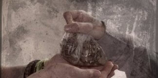 Los Judas de la Izquierda Dominicana