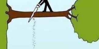 Breve historia de los pendejos