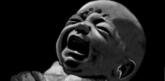 EL AMANECER DEL APOCALIPSIS