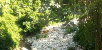 Las cañadas continúan inundando de plástico el río Haina