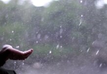 Para los que se fueron y piensan volver