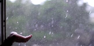 Para los que se fueron y piensan volver