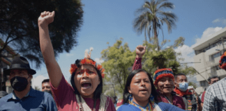 EL MOVIMIENTO POR LOS DERECHOS DE LA NATURALEZA NO SE PUEDE DETENER