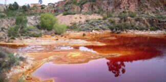 ¿Por qué marché contra la explotación minera en la cuenca alta del río San Juan?