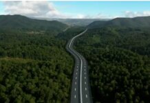 La Autopista del Ámbar: una agresión ambiental con respaldo del Estado