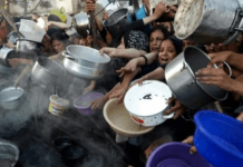 Entre la guerra y el hambre, las moscas prosperan